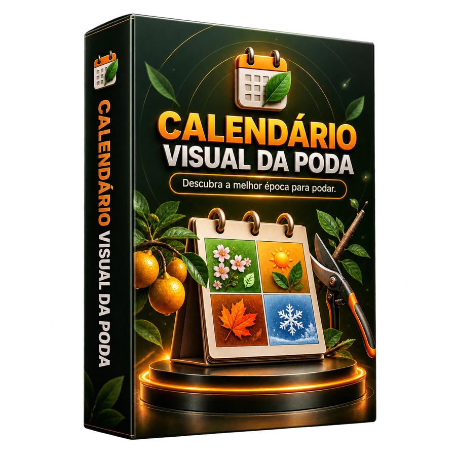 Box 3D do Calendário Visual da Poda