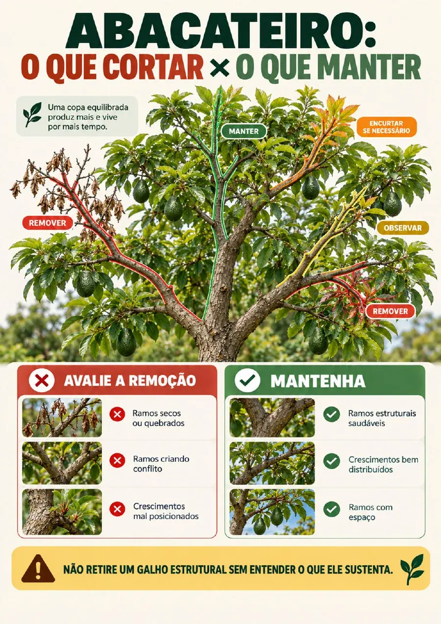 Página ilustrada do guia de poda