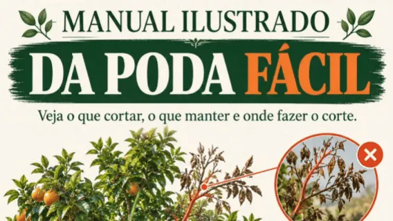 Animação mostrando onde fazer o corte em um galho